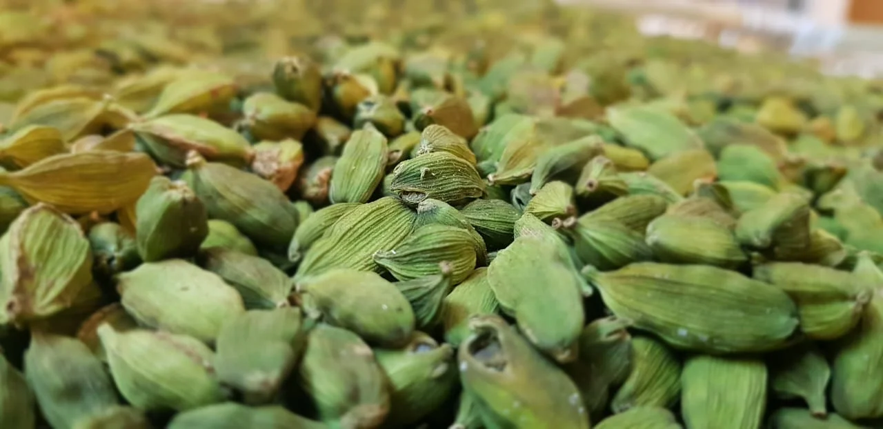 Green Cardamom