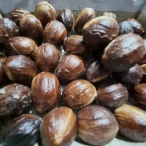 Nutmeg
