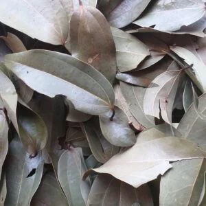 Indian Bay Leaf