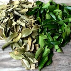 Indian Bay Leaf