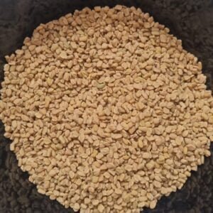 Fenugreek